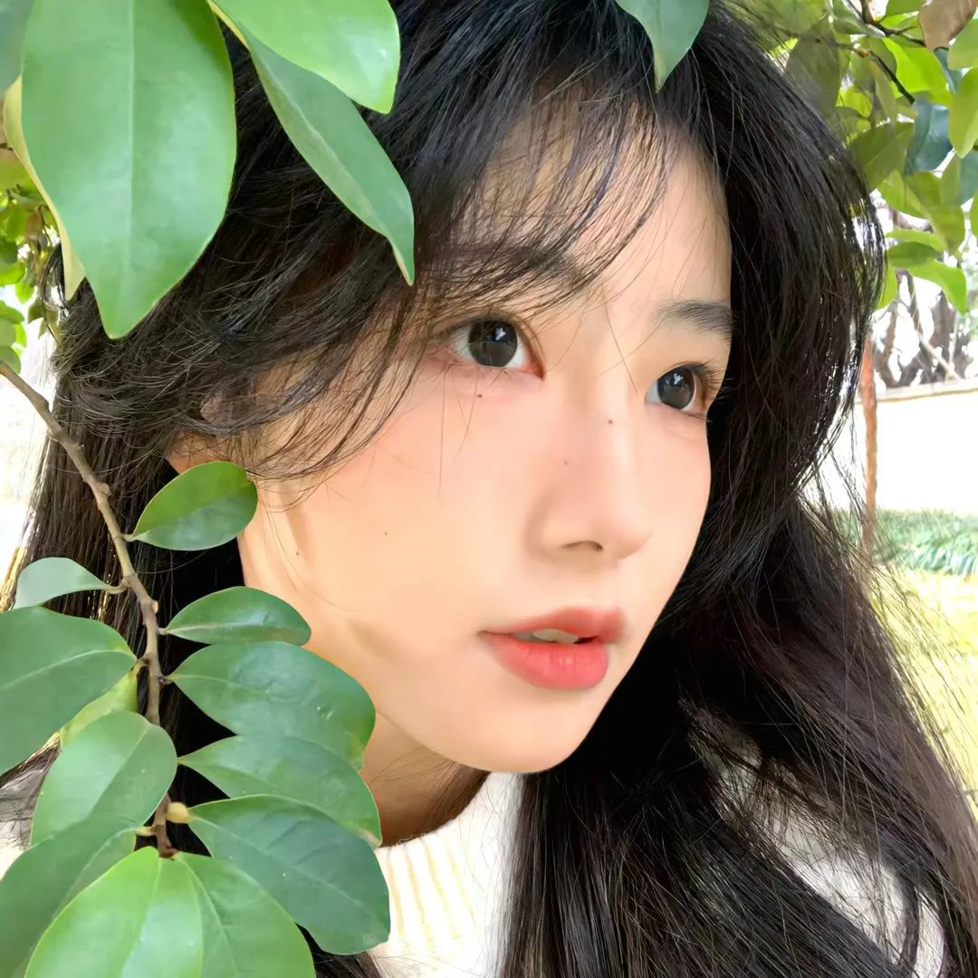青云志2